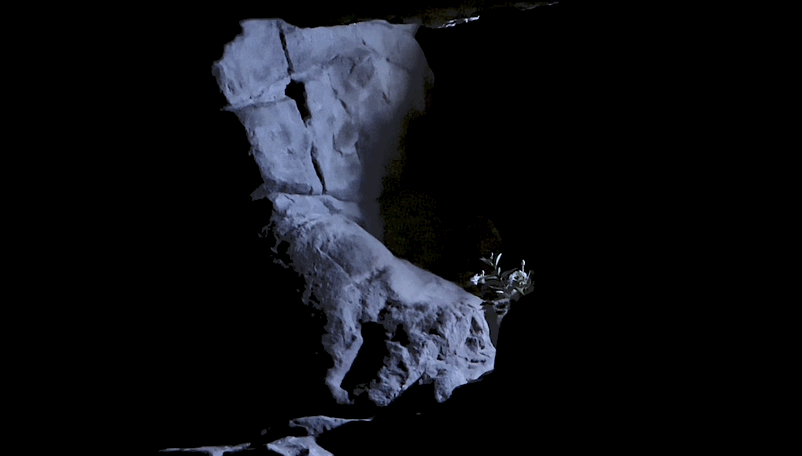 Rabbit Movie Scene 2